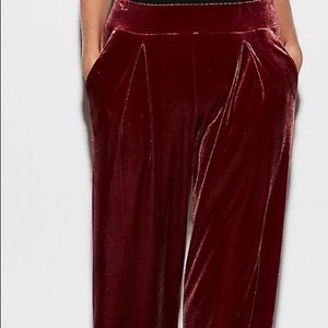 Velvet pants